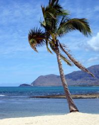 West Shore Oahu Hawaii. by Glenn Poulain 